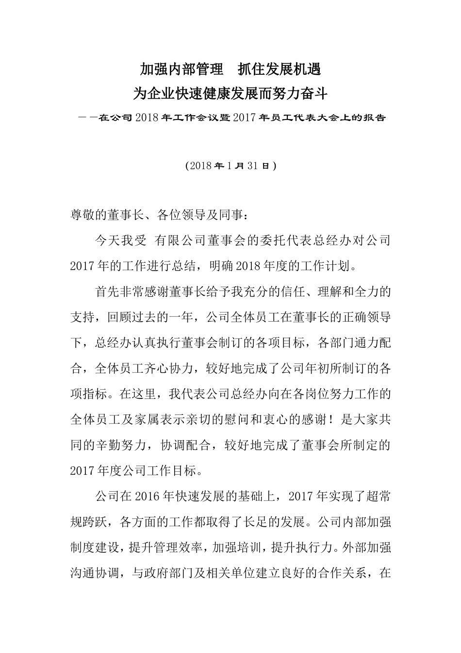 2017年年度公司工作总结(经典版)_第1页