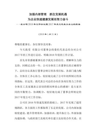 2017年年度公司工作总结(经典版)