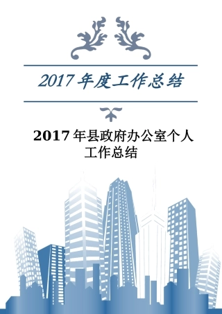 2017年县政府办公室个人工作总结