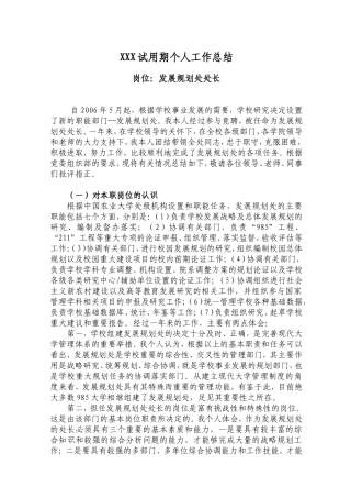 XXX试用期个人工作总结