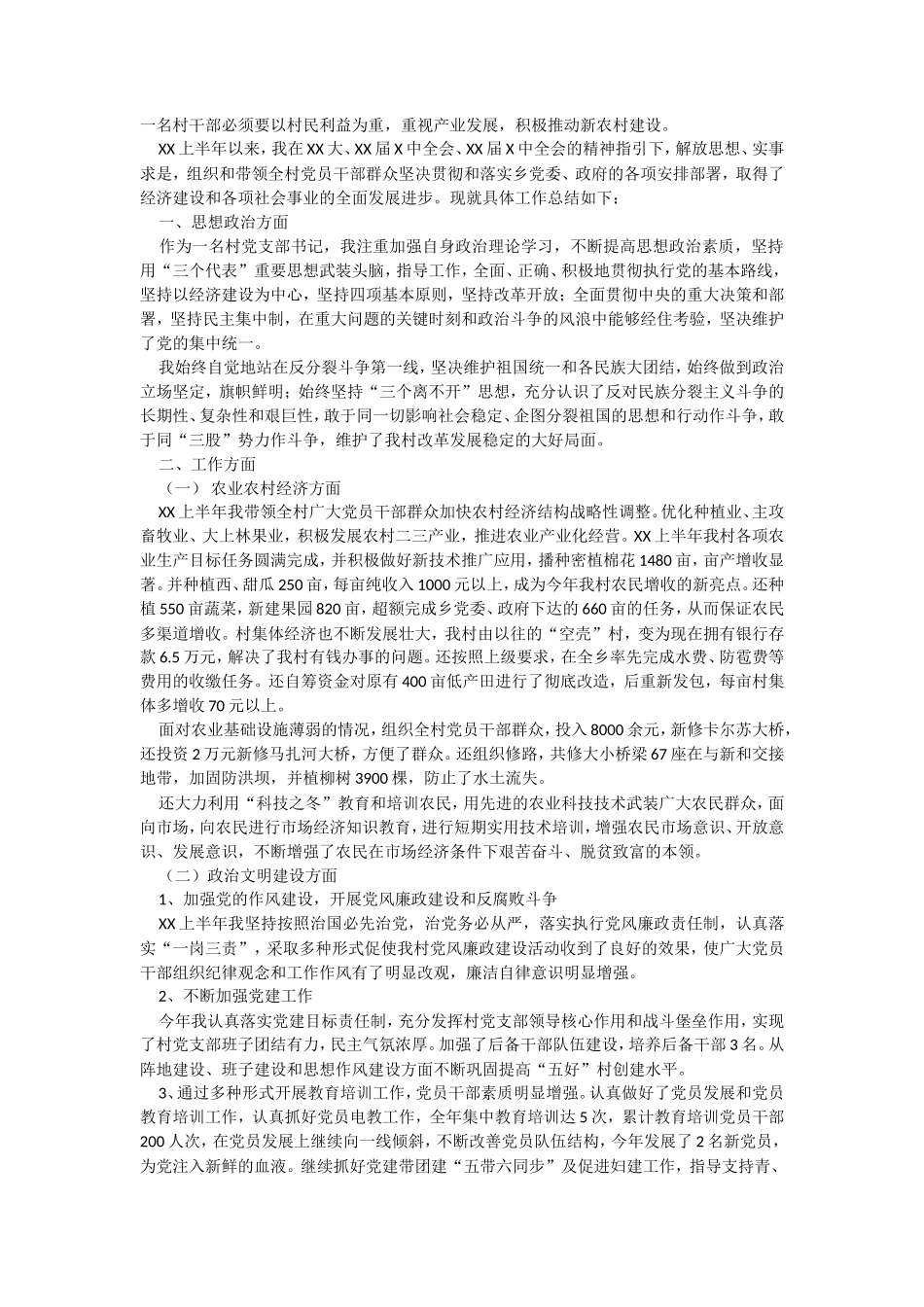 村支书年中总结2_第1页