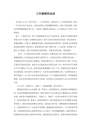 服装销售工作总结2