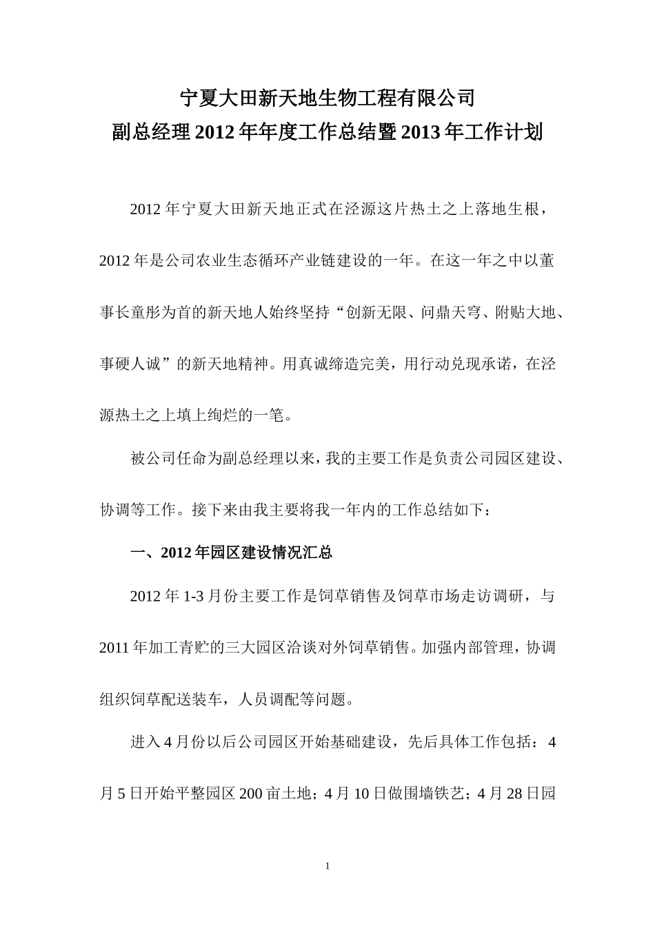 副总经理年度工作总结及计划_第1页