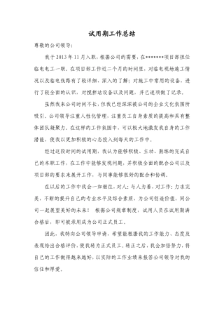 试用期工作总结