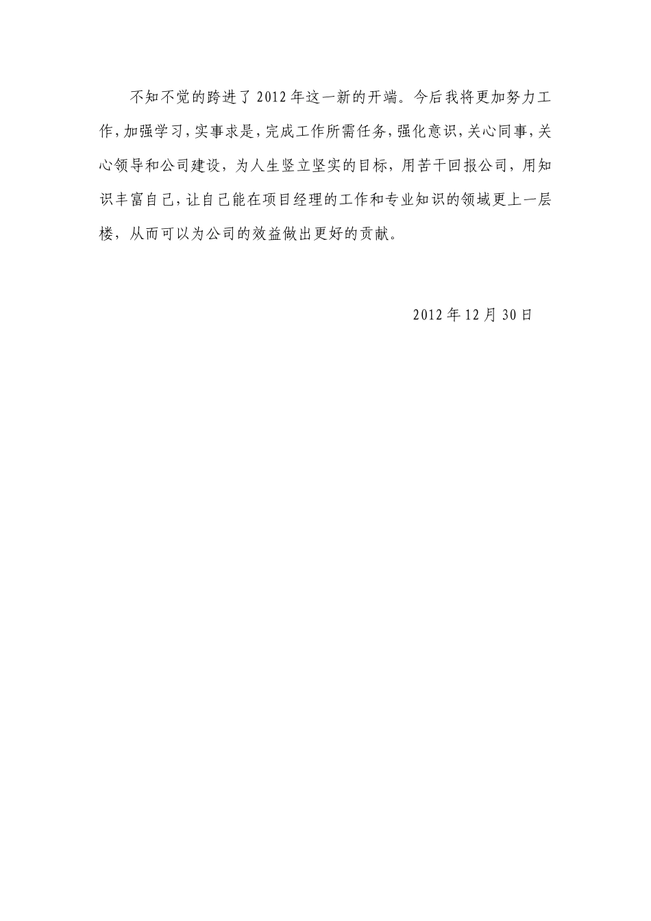 项目经理个人年终工作总结报告_第3页