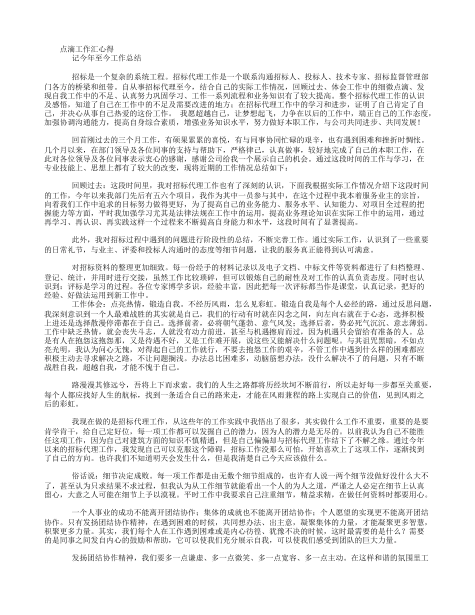 招标代理年终总结_第1页