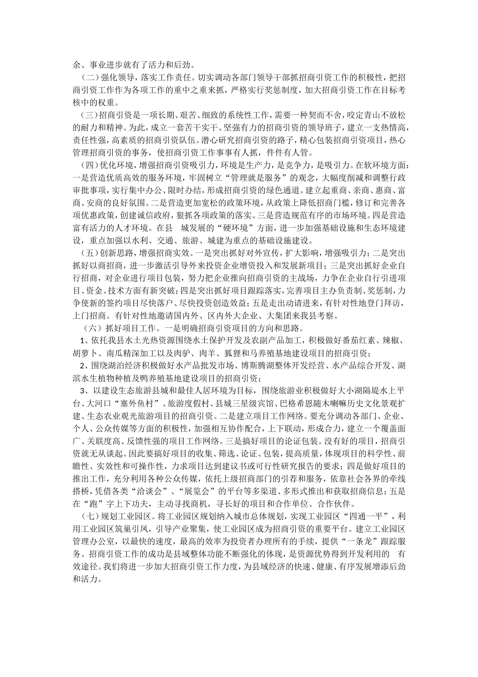 招商引资总结_第2页