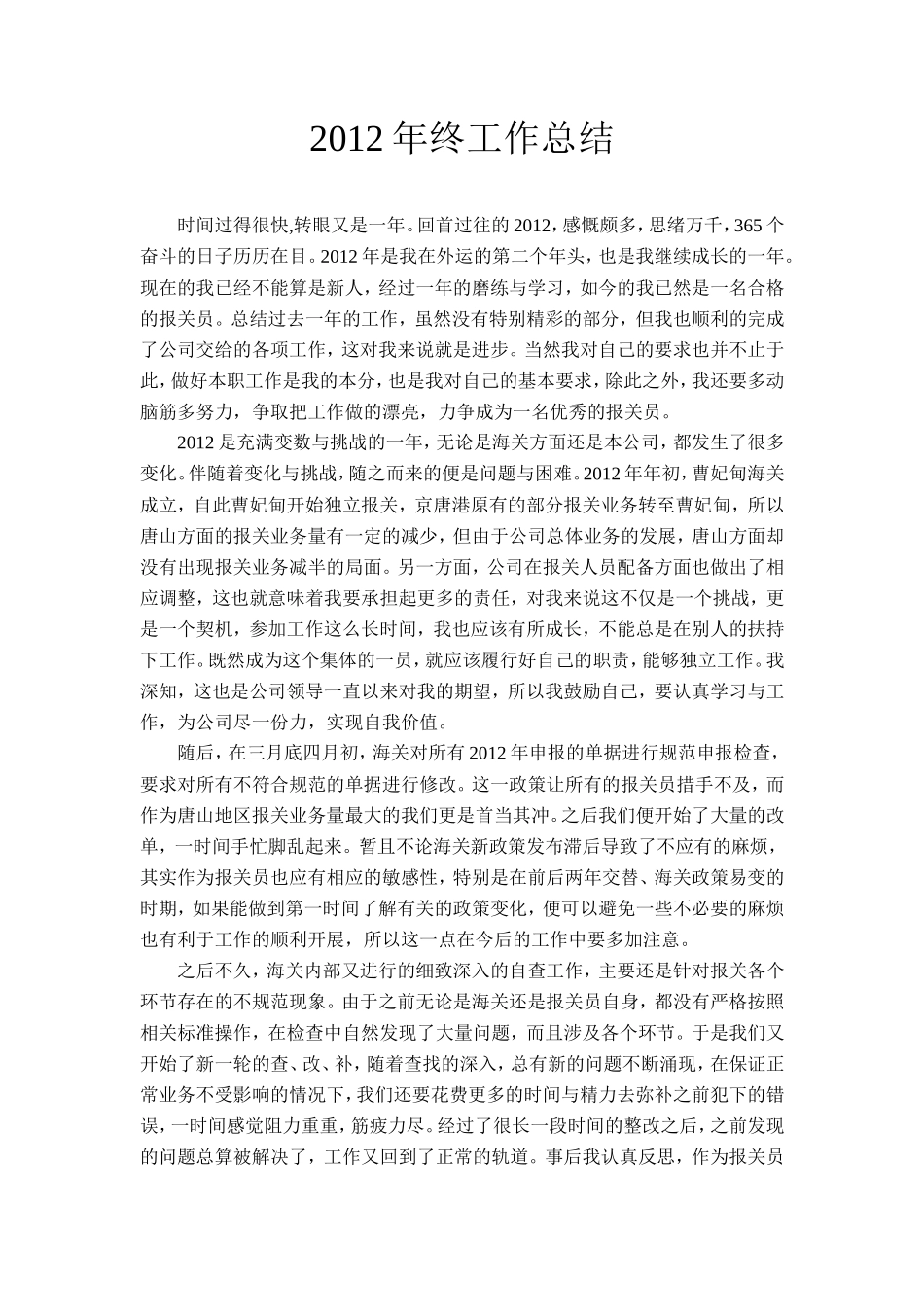 终工作总结_第1页