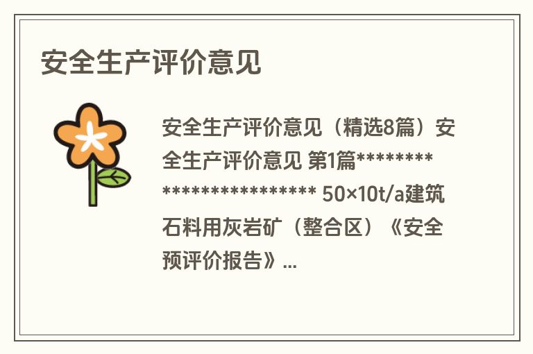 安全生产评价意见