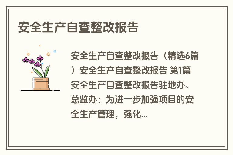 安全生产自查整改报告