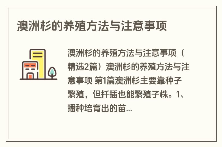 澳洲杉的养殖方法与注意事项