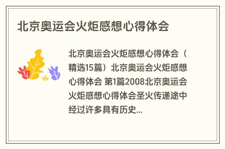 北京奥运会火炬感想心得体会
