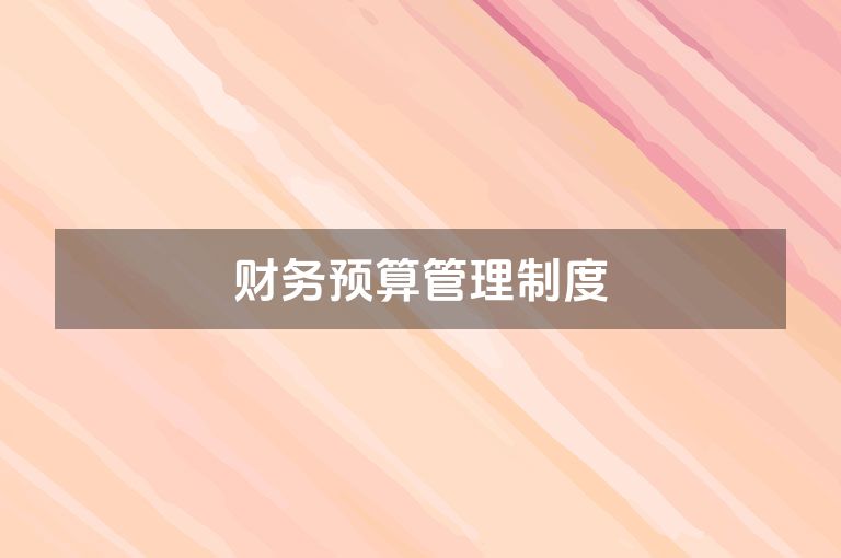 财务预算管理制度