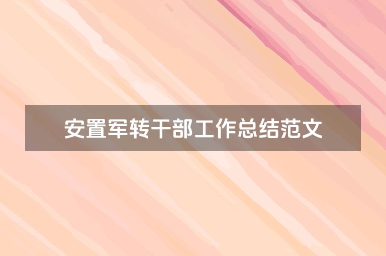 安置军转干部工作总结范文