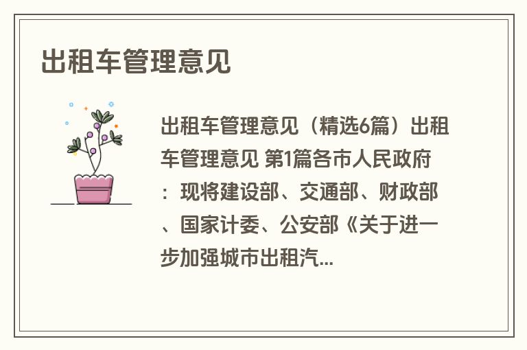 出租车管理意见