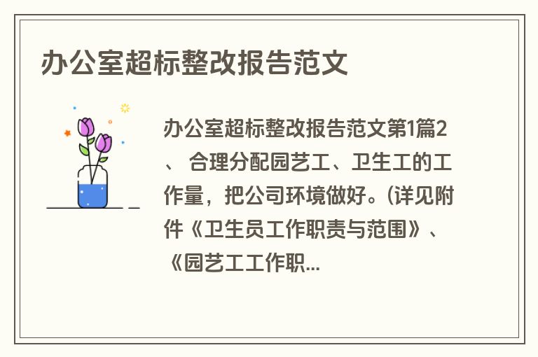 办公室超标整改报告范文