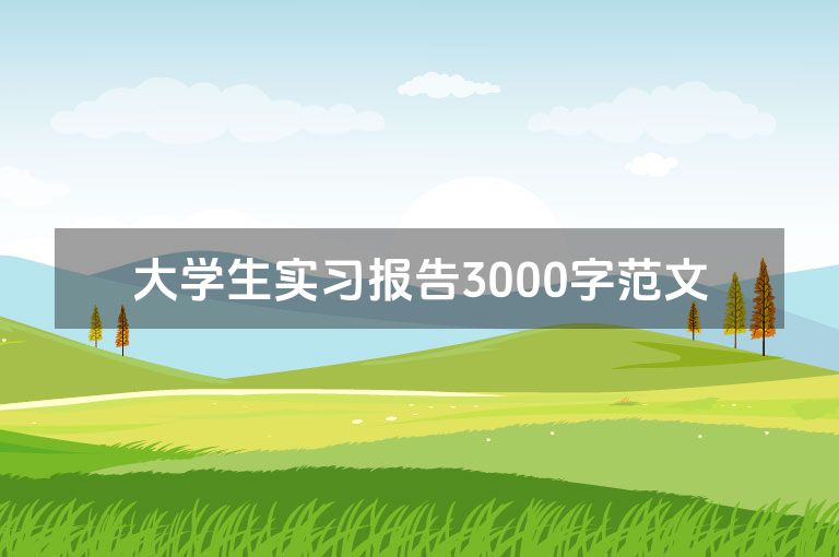 大学生实习报告3000字范文