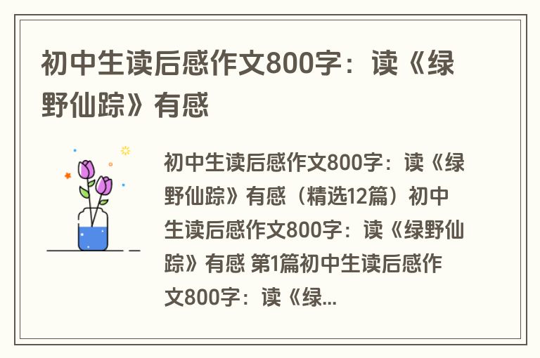 初中生读后感作文800字：读《绿野仙踪》有感
