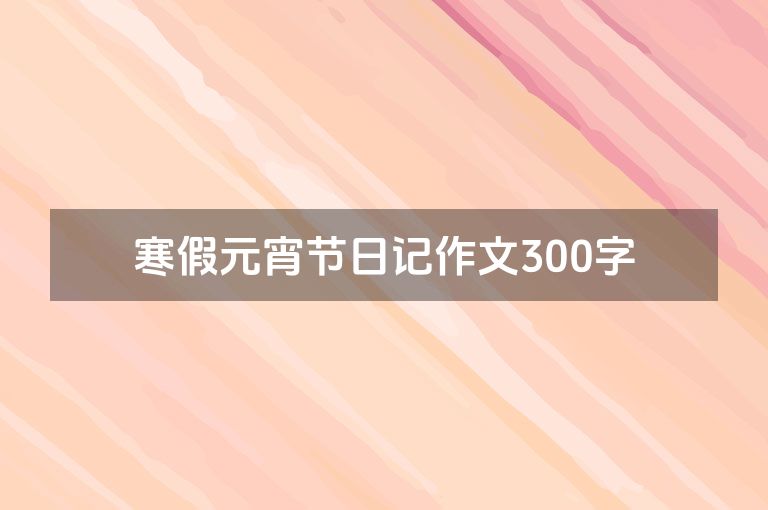 寒假元宵节日记作文300字