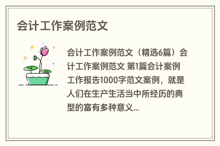 会计工作案例范文