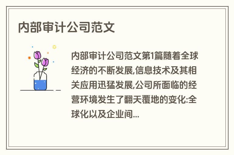 内部审计公司范文