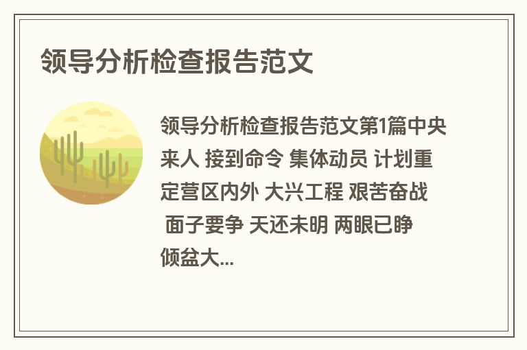 领导分析检查报告范文