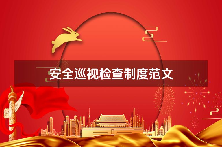 安全巡视检查制度范文