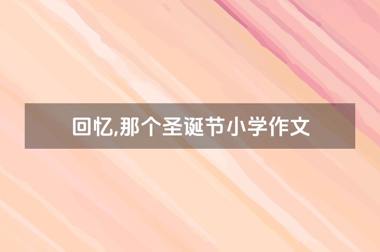 回忆,那个圣诞节小学作文
