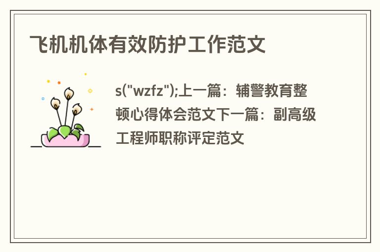 飞机机体有效防护工作范文