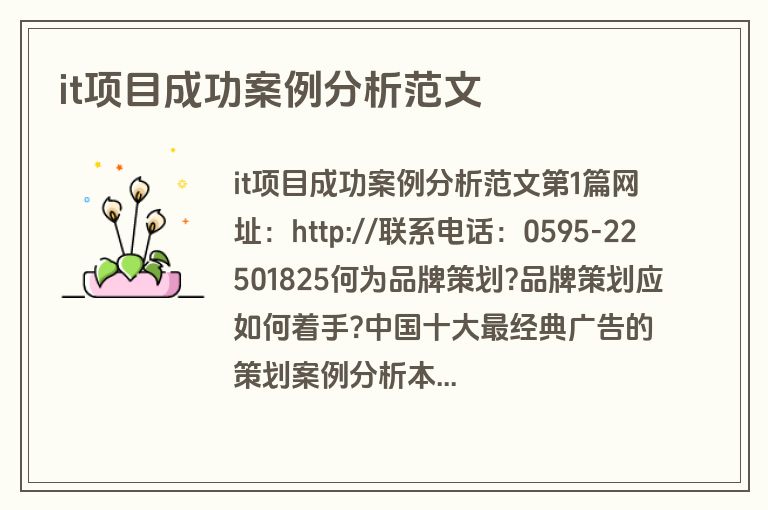 it项目成功案例分析范文