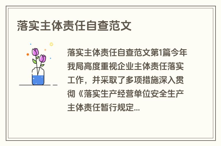 落实主体责任自查范文