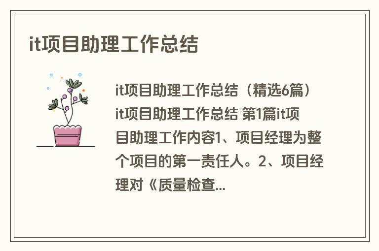 it项目助理工作总结 it项目助理工作总结