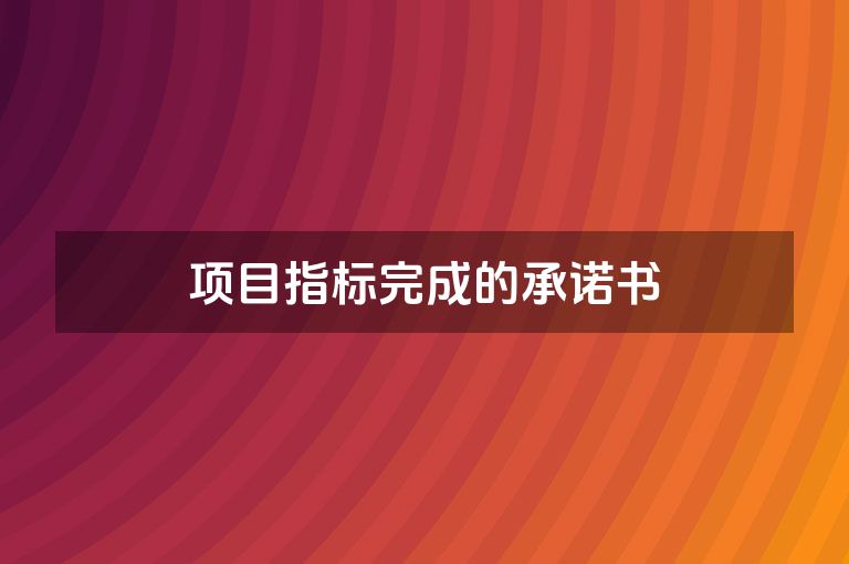 项目指标完成的承诺书