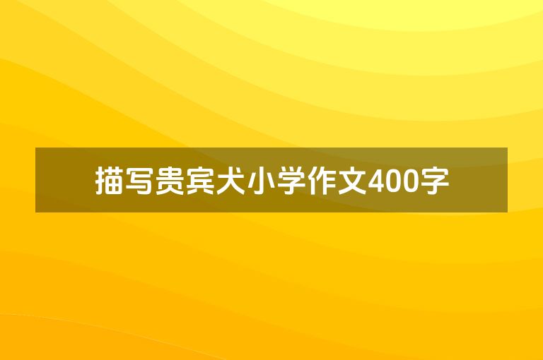 描写贵宾犬小学作文400字