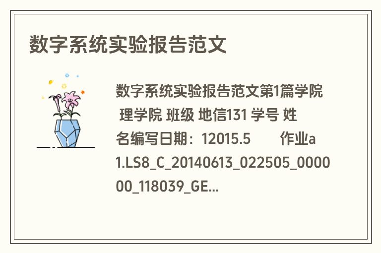 数字系统实验报告范文