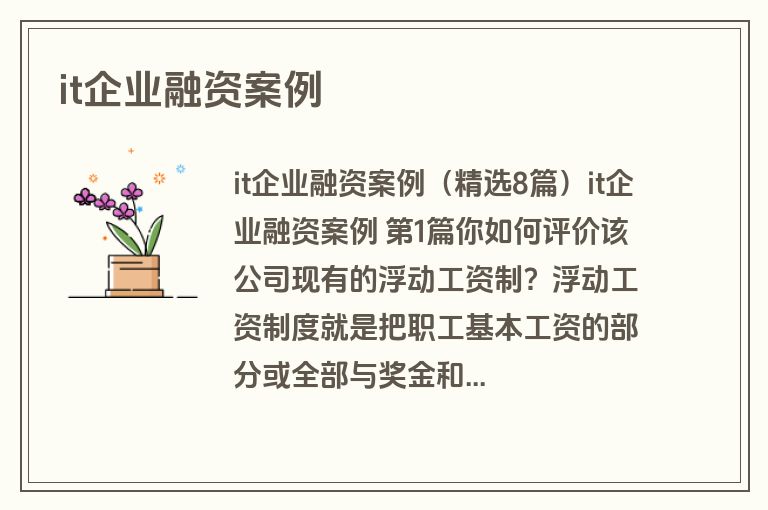 it企业融资案例