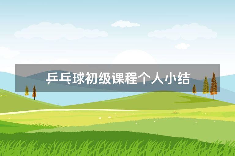乒乓球初级课程个人小结