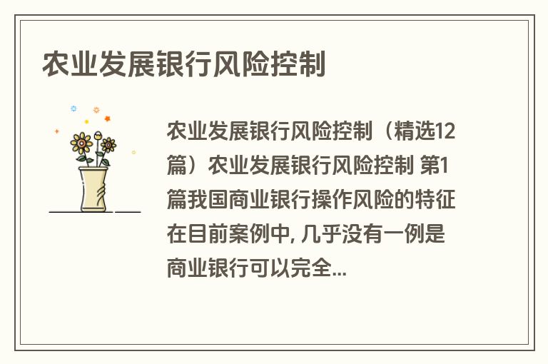 农业发展银行风险控制