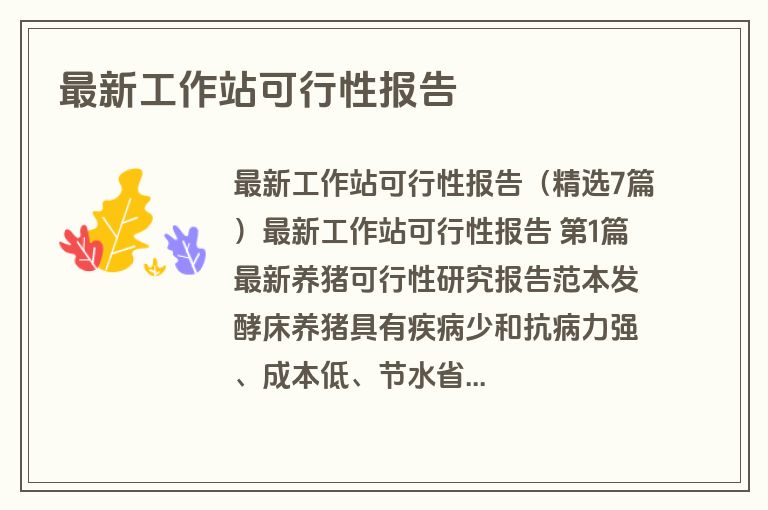 最新工作站可行性报告