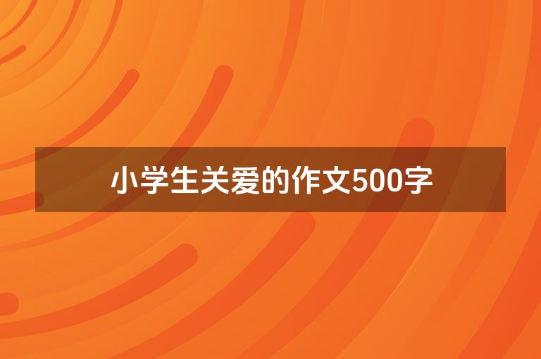 小学生关爱的作文500字