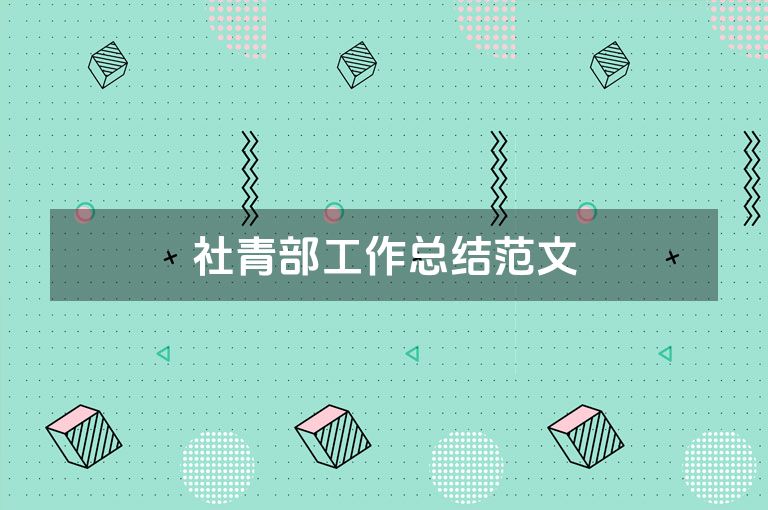 社青部工作总结范文