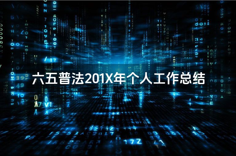六五普法201X年个人工作总结