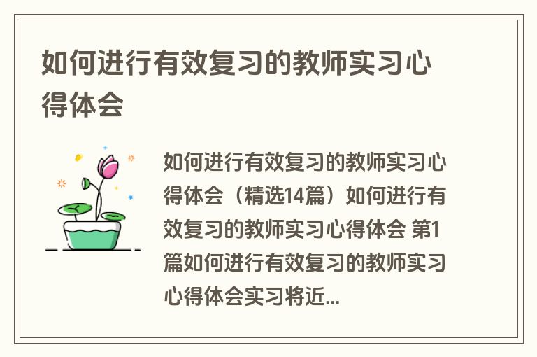 如何进行有效复习的教师实习心得体会