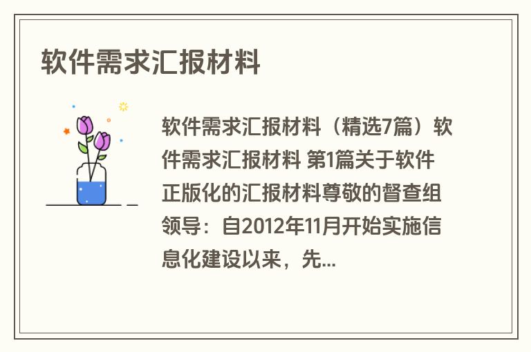 软件需求汇报材料