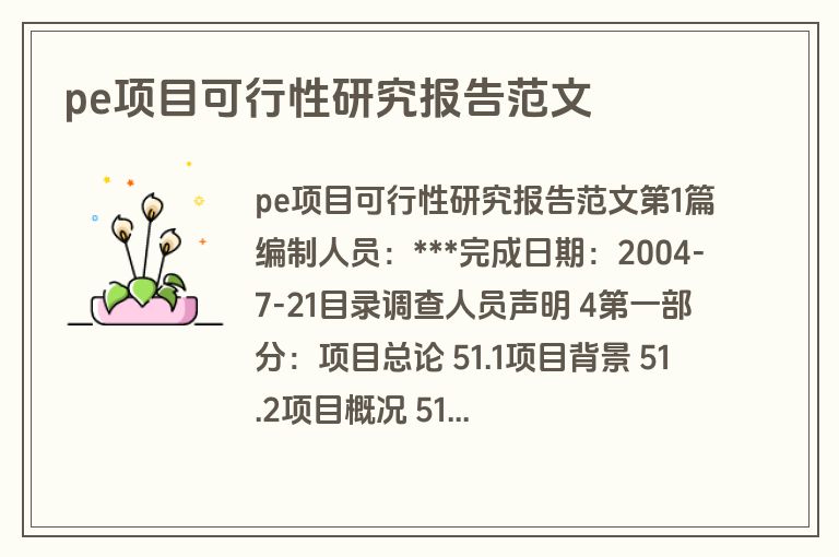 pe项目可行性研究报告范文