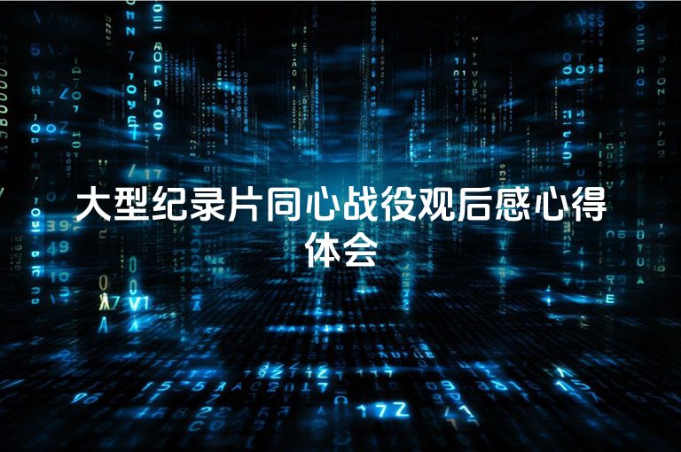 大型纪录片同心战役观后感心得体会