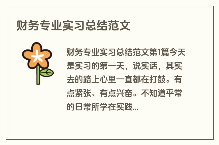 财务专业实习总结范文