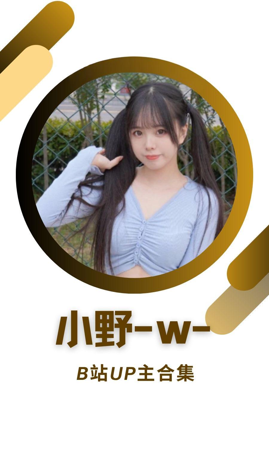 B站「小野-w-」作品高质量备份打包