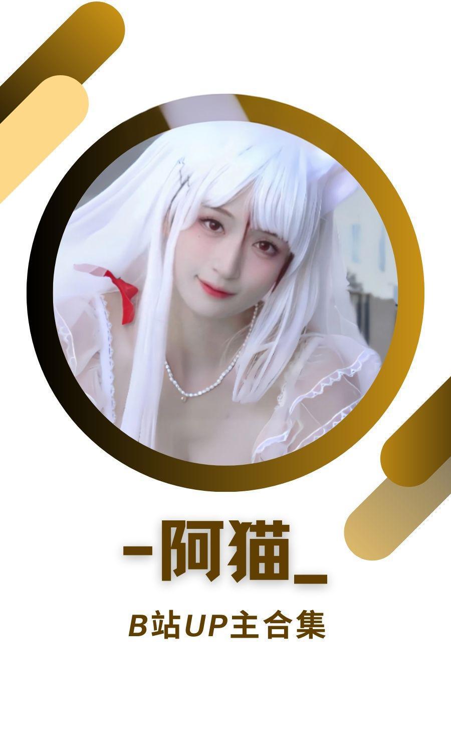 B站「阿猫」作品高质量备份打包