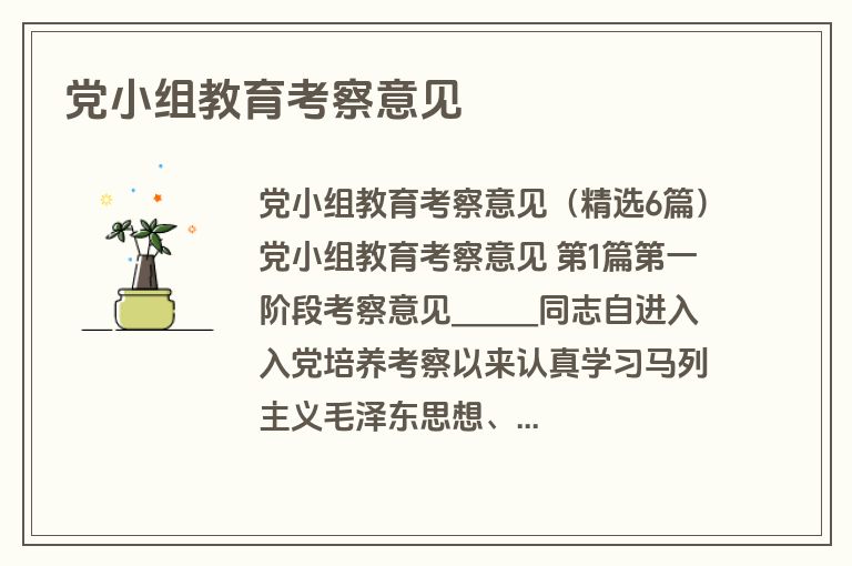 党小组教育考察意见